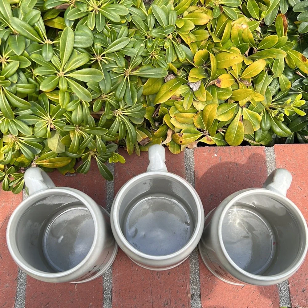 Coors and Budweiser Beer Steins Set‎ made in Germany